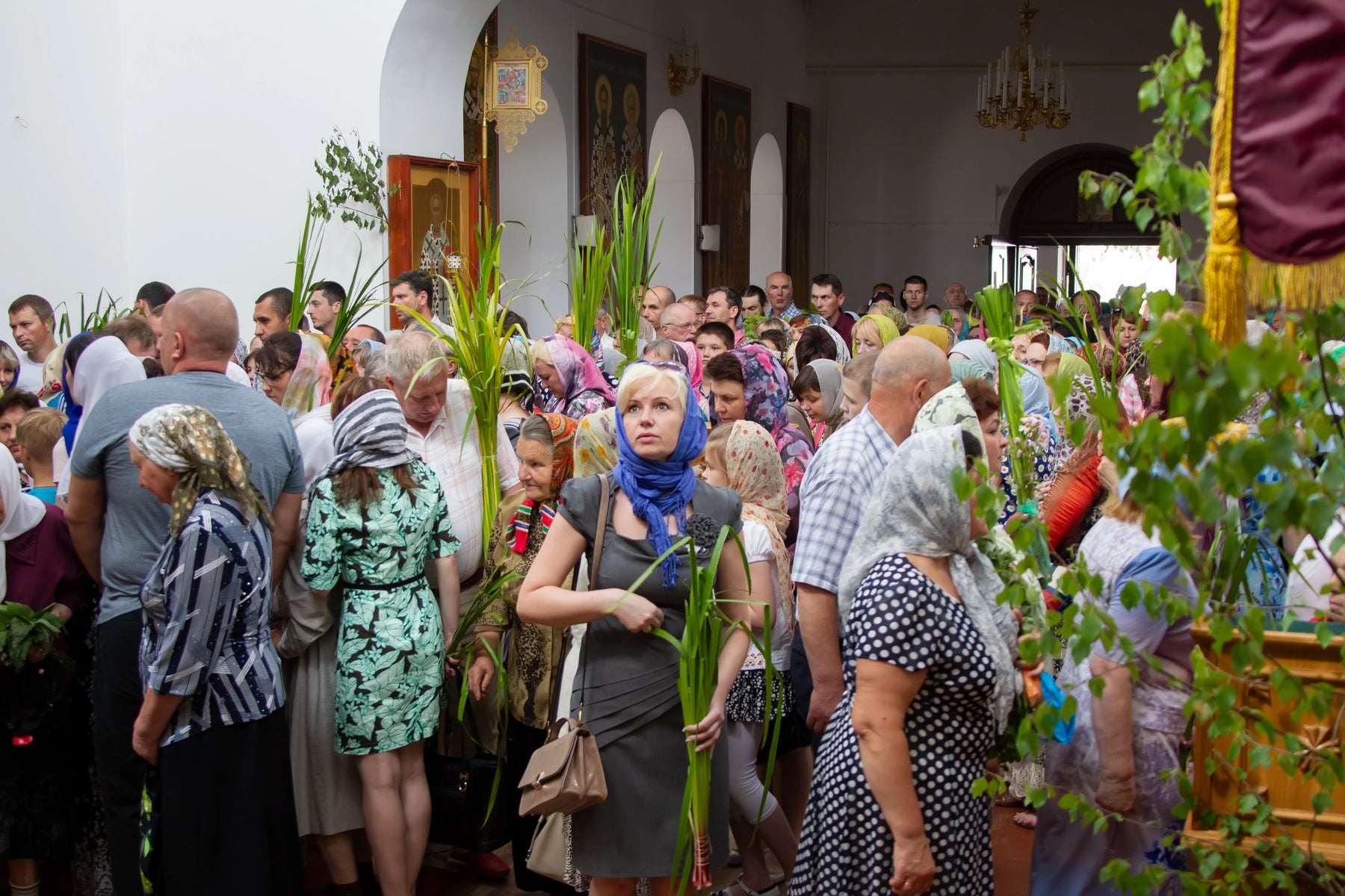 Palm Sunday Reflections