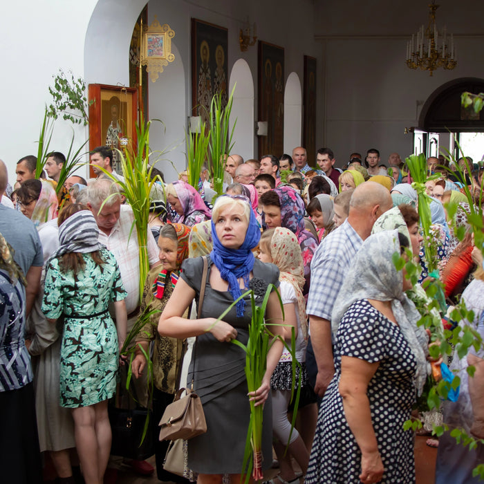 Palm Sunday Reflections